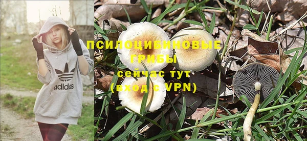 бутират Осинники