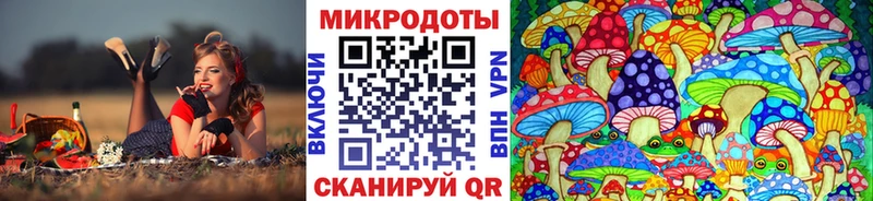 Галлюциногенные грибы GOLDEN TEACHER Берёзовка